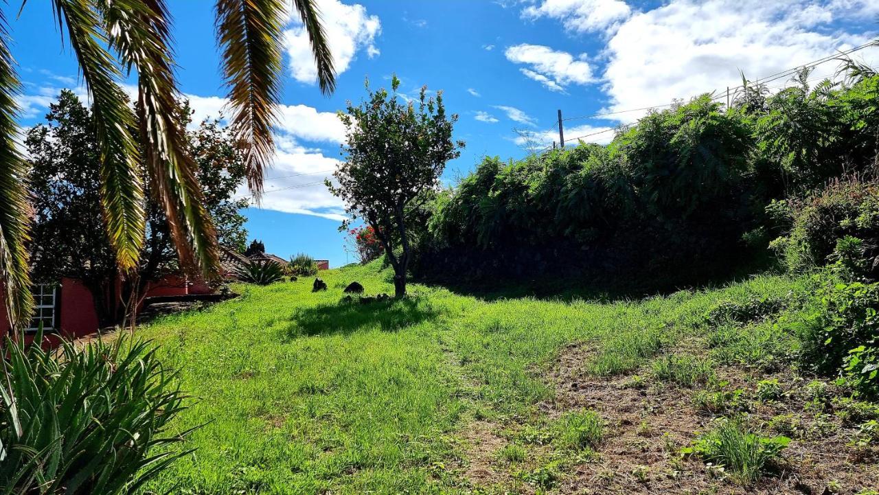Celeste Mazo Dış mekan fotoğraf